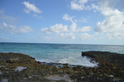 photo 879495