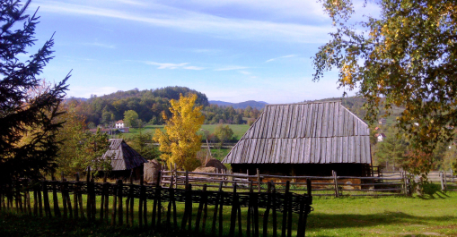 photo 1158785