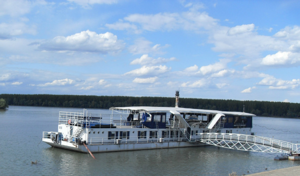 SDC12252
