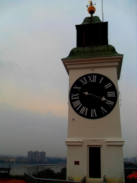 photo 884344