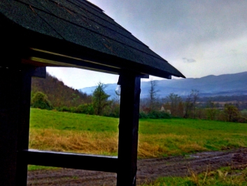 photo 918634