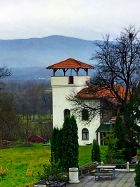 photo 918636