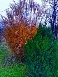 photo 918638