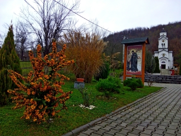 photo 918639