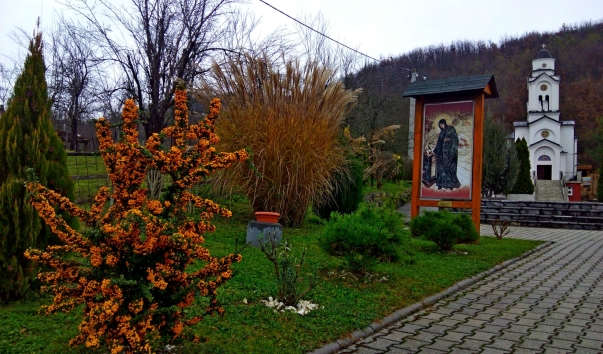 IMG_20141118_142635