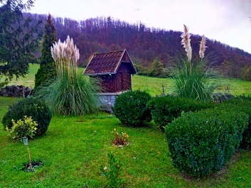 photo 918640