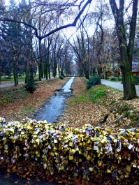 photo 918818