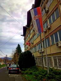 photo 918819