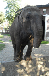 photo 92087