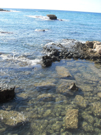 photo 90919
