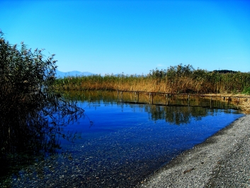 photo 870202