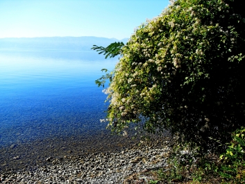 photo 871862