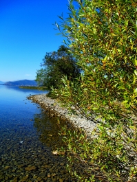 photo 875613