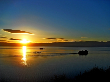 photo 876745
