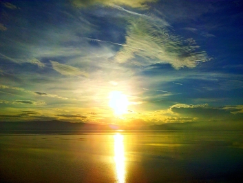 photo 882778