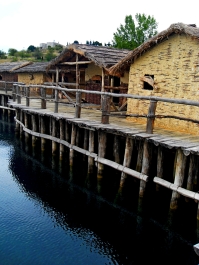 photo 892749