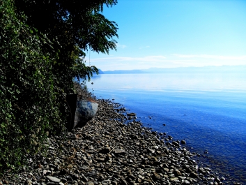 photo 897282
