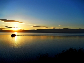 photo 920731