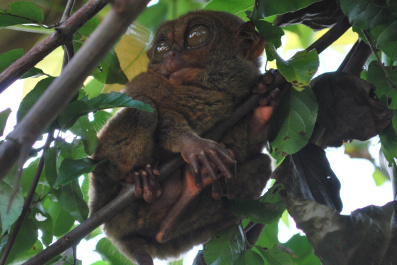 photo 200626