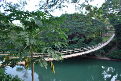 photo 200634