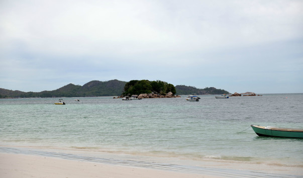 DSC_0233_037