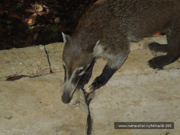 photo 906315