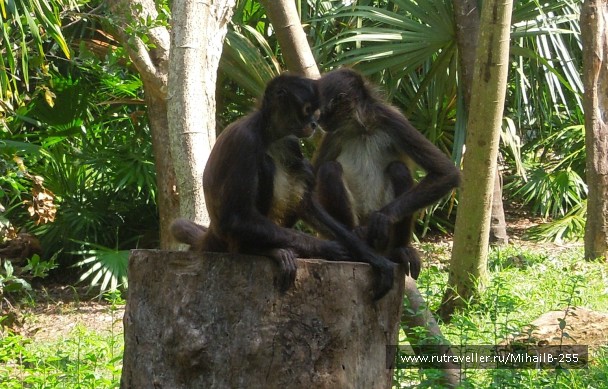 photo 906810