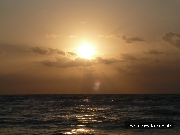 photo 686636
