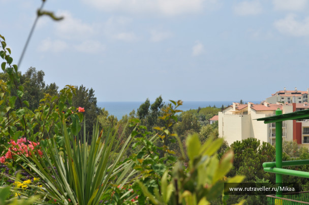 photo 460761
