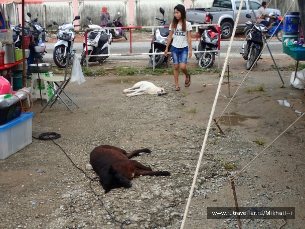 photo 1389272