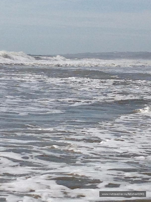 photo 1184860