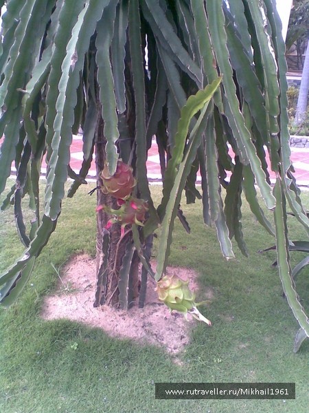 photo 855436