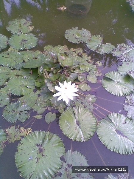 photo 855437