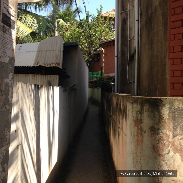 photo 1213505