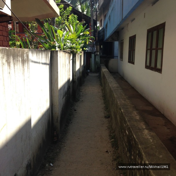 photo 1213506