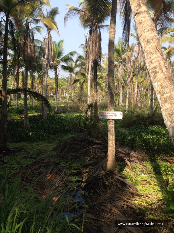 photo 1213526