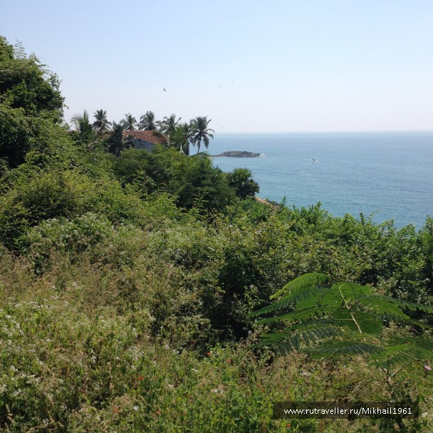 photo 1213419