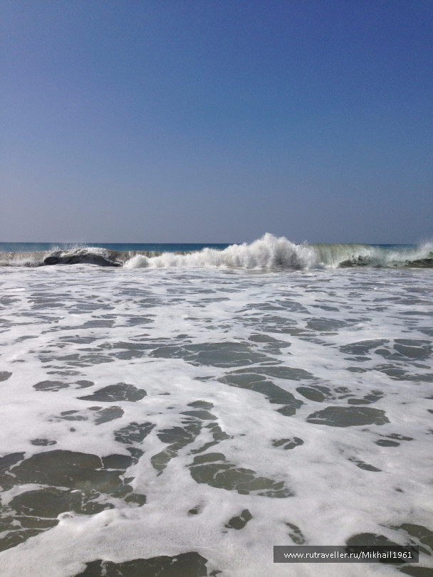 photo 1213455
