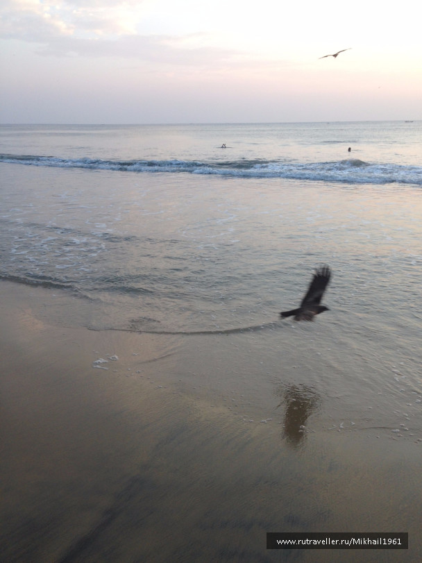 photo 1213456