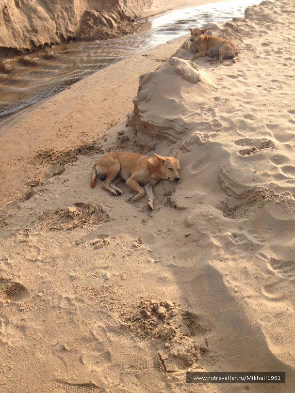 photo 1213460