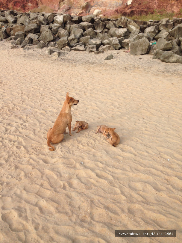 photo 1213462