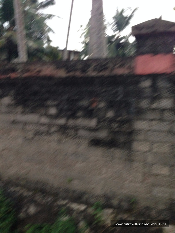 photo 1213481