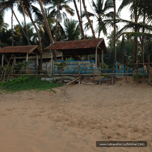 photo 1438743