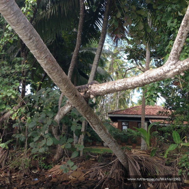 photo 1438750