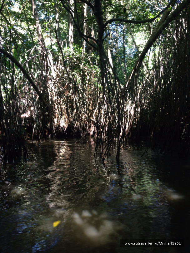 photo 1438755