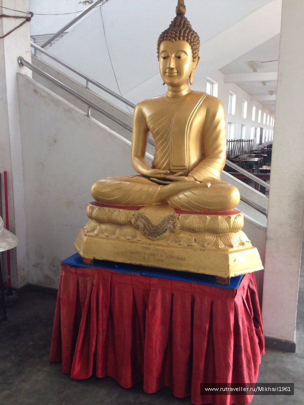 photo 1438758