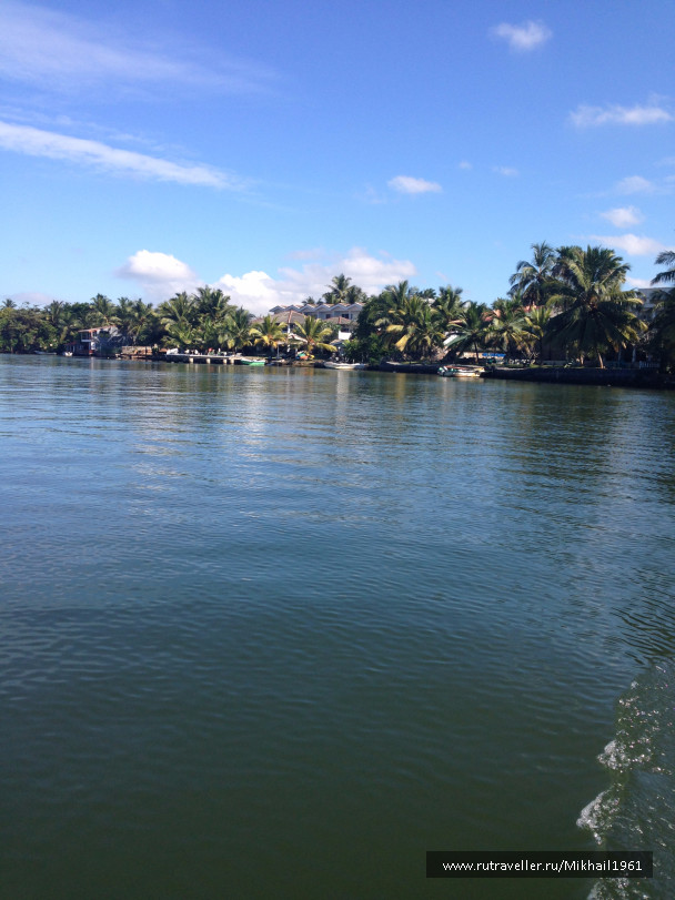 photo 1438761