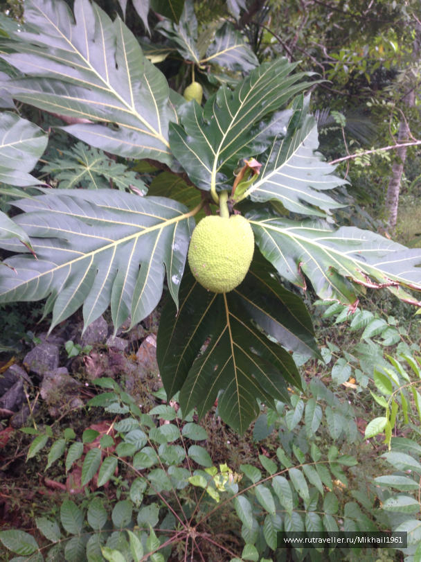 photo 1438765