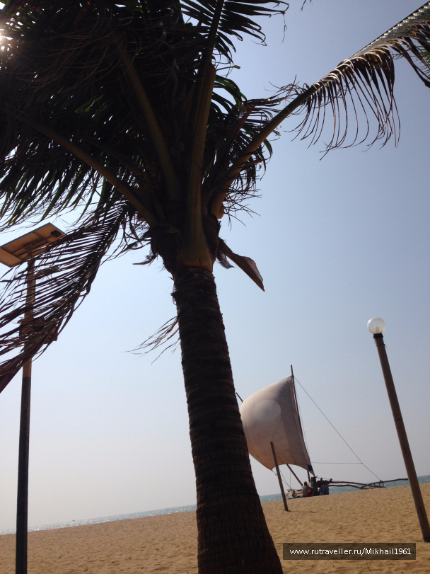 photo 1438767