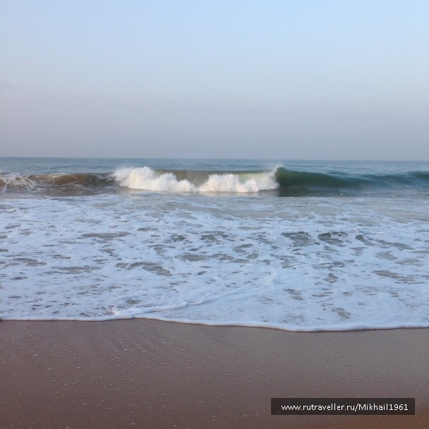 photo 1438784